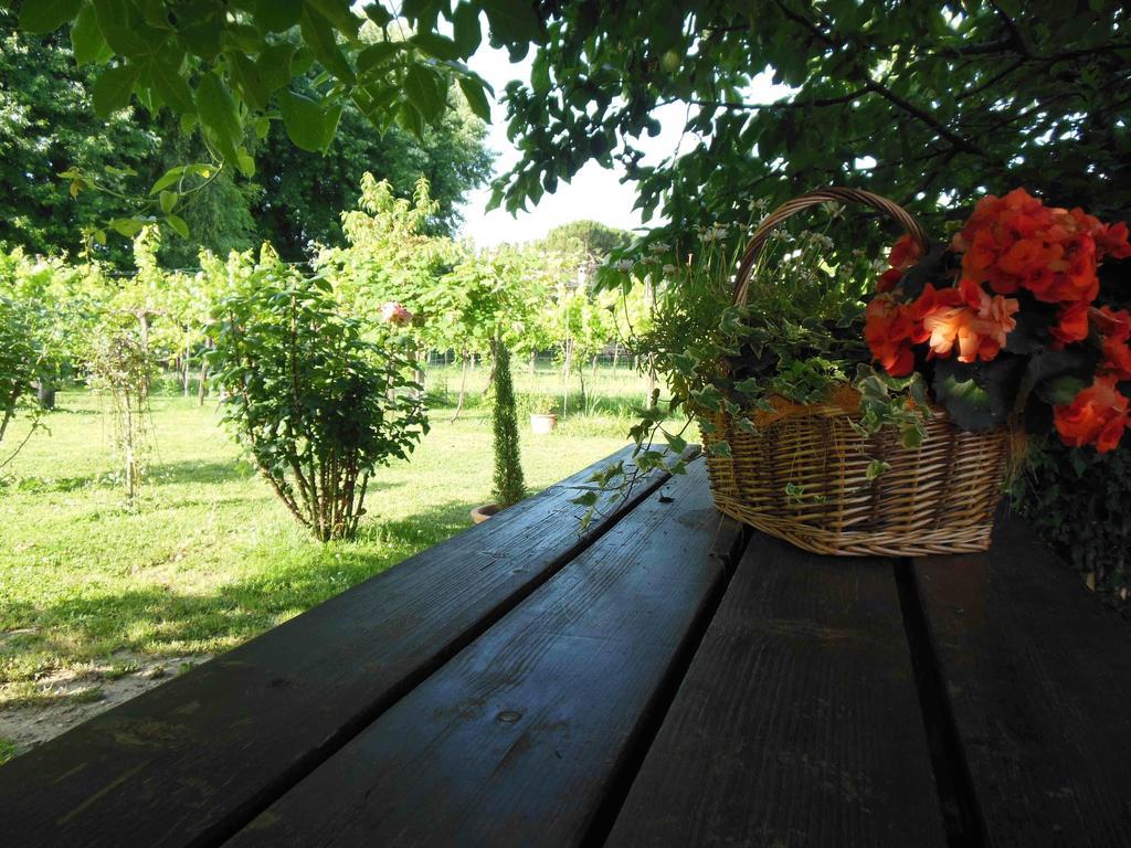 Al Pic De Corone Bed & Breakfast Terzo d' Aquileia ภายนอก รูปภาพ