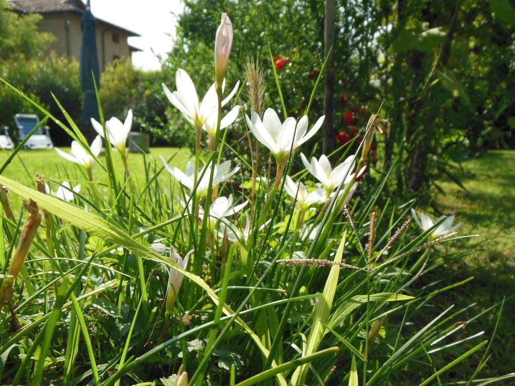 Al Pic De Corone Bed & Breakfast Terzo d' Aquileia ภายนอก รูปภาพ