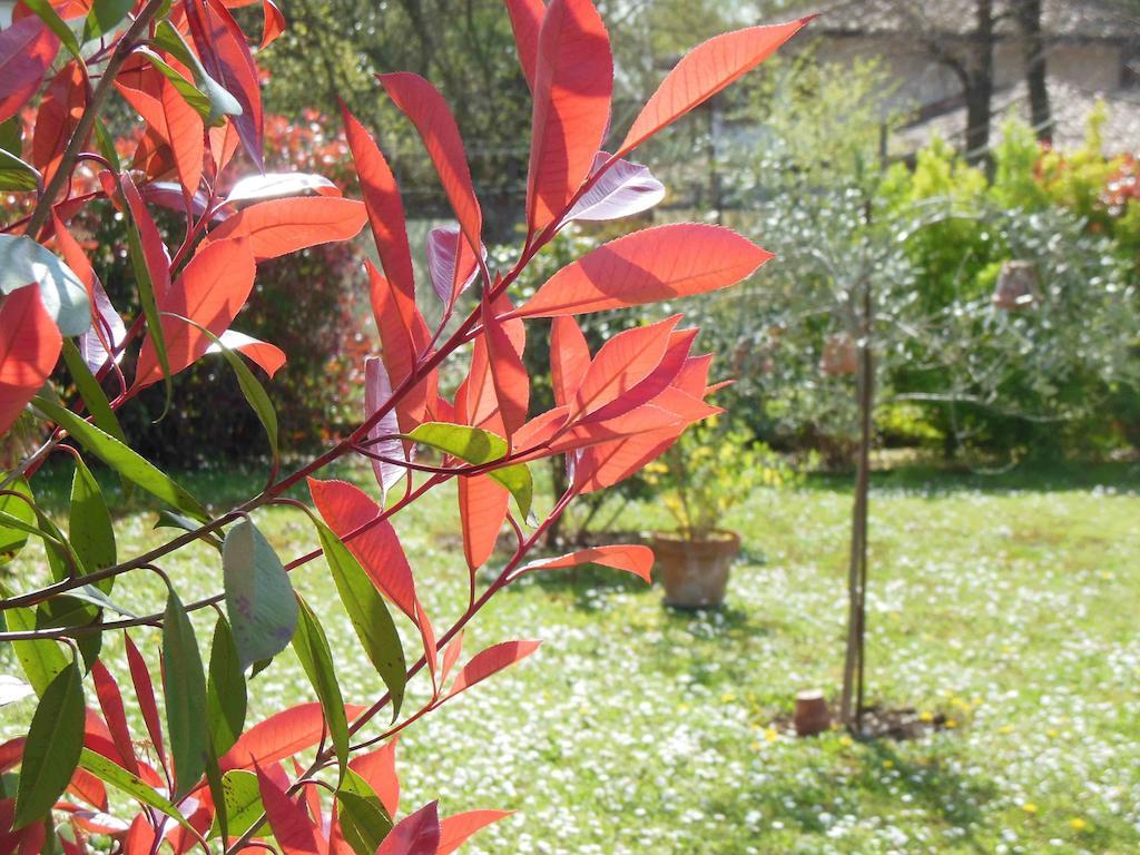 Al Pic De Corone Bed & Breakfast Terzo d' Aquileia ภายนอก รูปภาพ