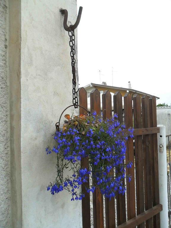 Al Pic De Corone Bed & Breakfast Terzo d' Aquileia ภายนอก รูปภาพ