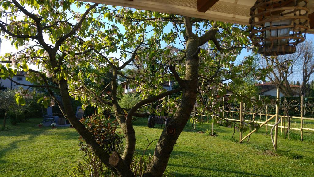 Al Pic De Corone Bed & Breakfast Terzo d' Aquileia ภายนอก รูปภาพ