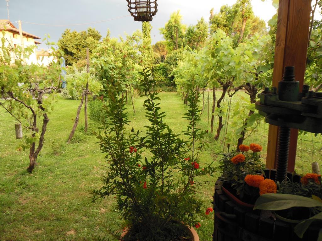 Al Pic De Corone Bed & Breakfast Terzo d' Aquileia ภายนอก รูปภาพ