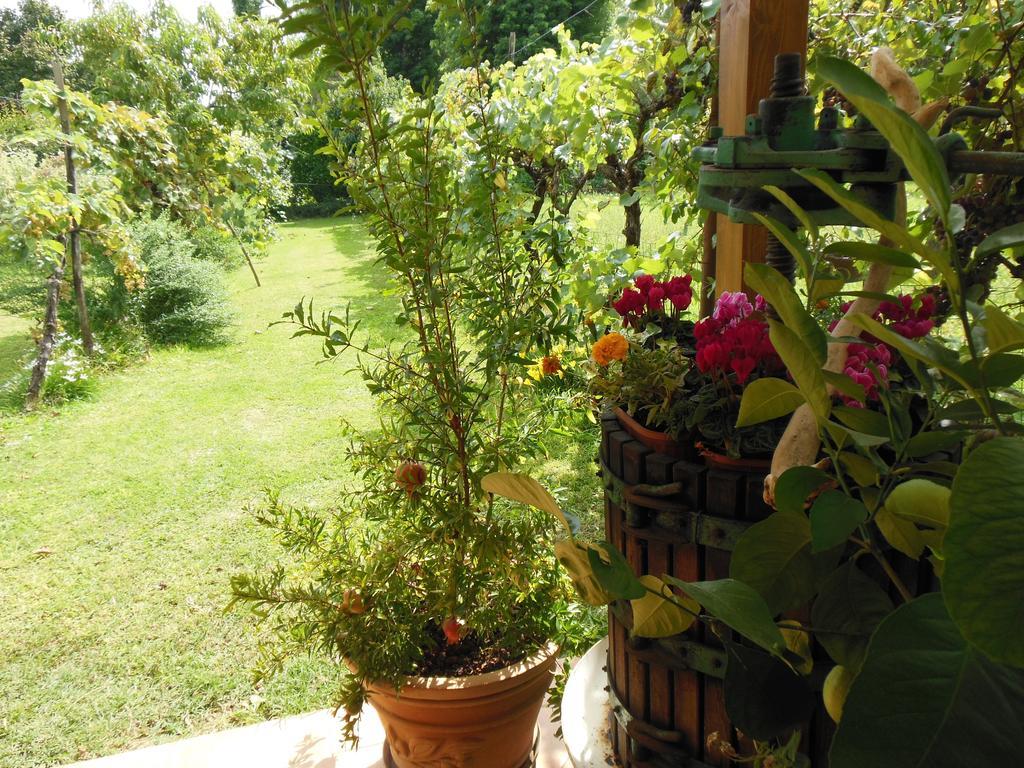 Al Pic De Corone Bed & Breakfast Terzo d' Aquileia ภายนอก รูปภาพ