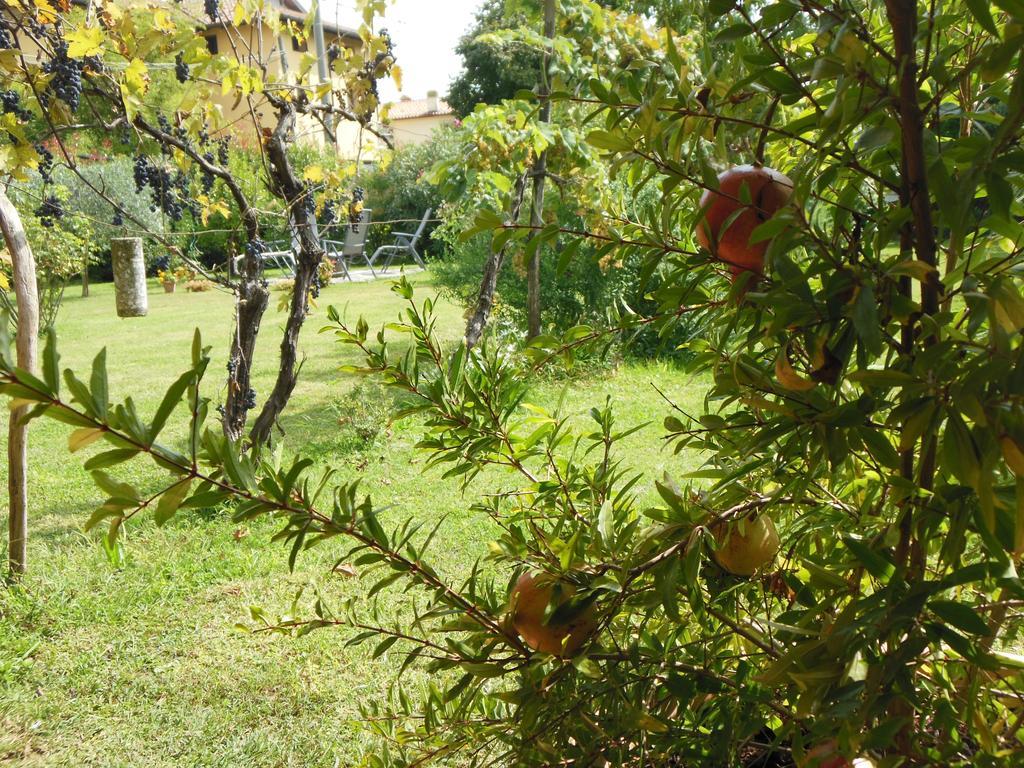 Al Pic De Corone Bed & Breakfast Terzo d' Aquileia ภายนอก รูปภาพ
